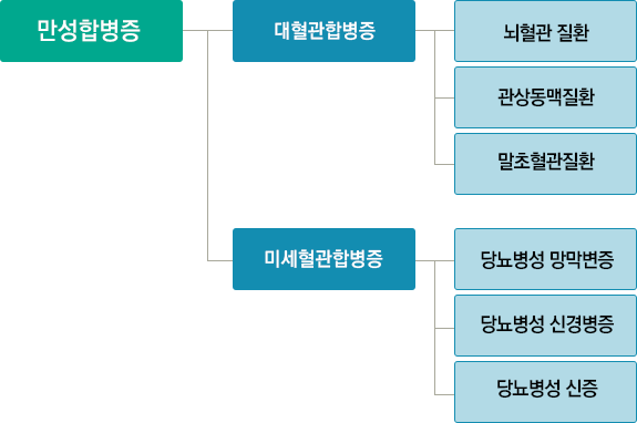 만성합병증에는 대혈관합병증과 미세혈관합병증이 있는데 대혈관합병증-뇌혈관 질환,관상동맥질환,말초혈관질환 / 미세혈관합병증-당노병성 망막변증,당뇨병성 신경병증,당뇨병성 신증 으로 있다.