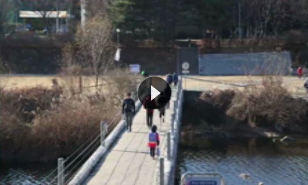 언론보도 이미지