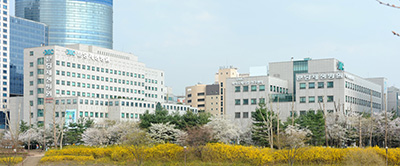 언론보도 이미지