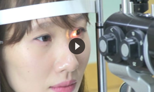 언론보도 이미지