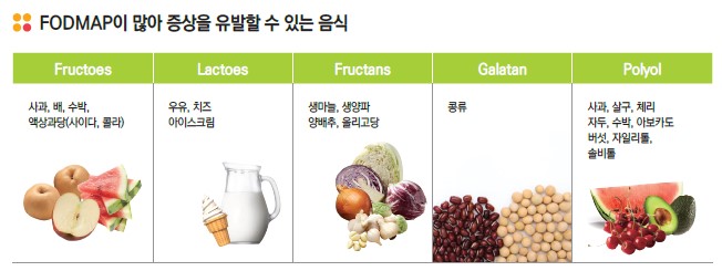 FODMAP이 많이 증상을 유발할 수 있는 음식. Fructoes: 사과, 배, 수박, 액상과당(사이다, 콜라). Lactoes: 우유, 치즈, 아이스크림. Fructans: 생마늘, 생양파, 양배추, 올리고당. Galatan: 콩류. Polyol: 사과, 살구, 체리, 자도, 수박, 아보카도, 버섯, 자일리톨, 솔비들